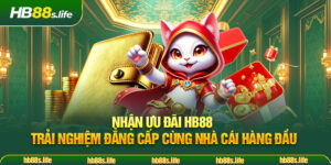 113 Nhan Uu Dai Hb88 Trai Nghiem Dang Cap Cung Nha Cai Hang Dau