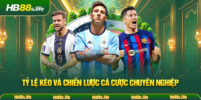 50 Ty Le Keo Va Chien Luoc Ca Cuoc Chuyen Nghiep